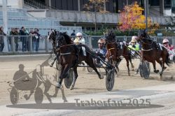 Dateiname=20251012_r02_115_R02_0379.jpg
Dateigröße=330KB
Abmessungen: 1000x667
hinzugefügt am: 14. Oktober 2025 20251012_r02_115_R02_0379.jpg