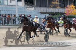 Dateiname=20251012_r02_116_R02_0382.jpg
Dateigröße=326KB
Abmessungen: 1000x667
hinzugefügt am: 14. Oktober 2025 20251012_r02_116_R02_0382.jpg