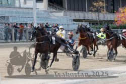 Dateiname=20251012_r02_117_R02_0383.jpg
Dateigröße=345KB
Abmessungen: 1000x667
hinzugefügt am: 14. Oktober 2025 20251012_r02_117_R02_0383.jpg