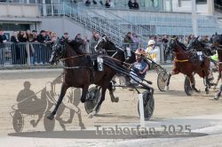 Dateiname=20251012_r02_119_R02_0390.jpg
Dateigröße=324KB
Abmessungen: 1000x667
hinzugefügt am: 14. Oktober 2025 20251012_r02_119_R02_0390.jpg