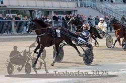 Dateiname=20251012_r02_121_R02_0394.jpg
Dateigröße=299KB
Abmessungen: 1000x667
hinzugefügt am: 14. Oktober 2025 20251012_r02_121_R02_0394.jpg