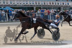 Dateiname=20251012_r02_124_R02_0401.jpg
Dateigröße=310KB
Abmessungen: 1000x667
hinzugefügt am: 14. Oktober 2025 20251012_r02_124_R02_0401.jpg