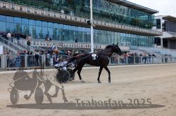 Dateiname=20251012_r02_127_CR5_0034.jpg
Dateigröße=356KB
Abmessungen: 1000x667
hinzugefügt am: 14. Oktober 2025 20251012_r02_127_CR5_0034.jpg