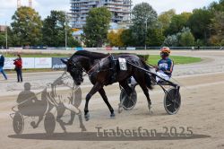 Dateiname=20251012_r02_142_CR5_0068.jpg
Dateigröße=337KB
Abmessungen: 1000x667
hinzugefügt am: 14. Oktober 2025 20251012_r02_142_CR5_0068.jpg