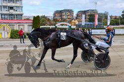 Dateiname=20251012_r02_145_CR5_0071.jpg
Dateigröße=316KB
Abmessungen: 1000x667
hinzugefügt am: 14. Oktober 2025 20251012_r02_145_CR5_0071.jpg