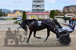 Dateiname=20251012_r02_146_CR5_0072.jpg
Dateigröße=306KB
Abmessungen: 1000x667
hinzugefügt am: 14. Oktober 2025 20251012_r02_146_CR5_0072.jpg