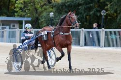 Dateiname=20251012_r04_001_R04_0006.jpg
Dateigröße=285KB
Abmessungen: 1000x667
hinzugefügt am: 14. Oktober 2025 20251012_r04_001_R04_0006.jpg