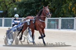 Dateiname=20251012_r04_002_R04_0010.jpg
Dateigröße=286KB
Abmessungen: 1000x667
hinzugefügt am: 14. Oktober 2025 20251012_r04_002_R04_0010.jpg