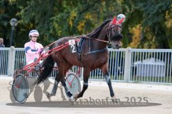 Dateiname=20251012_r04_003_R04_0014.jpg
Dateigröße=297KB
Abmessungen: 1000x667
hinzugefügt am: 14. Oktober 2025 20251012_r04_003_R04_0014.jpg