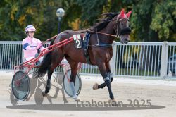 Dateiname=20251012_r04_004_R04_0020.jpg
Dateigröße=299KB
Abmessungen: 1000x667
hinzugefügt am: 14. Oktober 2025 20251012_r04_004_R04_0020.jpg