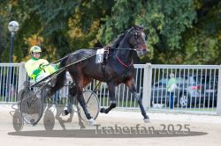 Dateiname=20251012_r04_005_R04_0025.jpg
Dateigröße=310KB
Abmessungen: 1000x667
hinzugefügt am: 14. Oktober 2025 20251012_r04_005_R04_0025.jpg