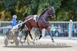 Dateiname=20251012_r04_007_R04_0036.jpg
Dateigröße=315KB
Abmessungen: 1000x667
hinzugefügt am: 14. Oktober 2025 20251012_r04_007_R04_0036.jpg