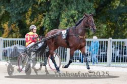 Dateiname=20251012_r04_009_R04_0043.jpg
Dateigröße=328KB
Abmessungen: 1000x667
hinzugefügt am: 14. Oktober 2025 20251012_r04_009_R04_0043.jpg