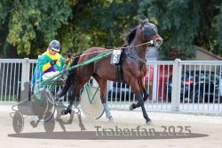 Dateiname=20251012_r04_012_R04_0055.jpg
Dateigröße=317KB
Abmessungen: 1000x667
hinzugefügt am: 14. Oktober 2025 20251012_r04_012_R04_0055.jpg