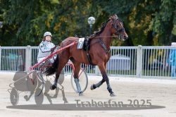 Dateiname=20251012_r04_013_R04_0058.jpg
Dateigröße=306KB
Abmessungen: 1000x667
hinzugefügt am: 14. Oktober 2025 20251012_r04_013_R04_0058.jpg