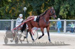 Dateiname=20251012_r04_014_R04_0063.jpg
Dateigröße=309KB
Abmessungen: 1000x667
hinzugefügt am: 14. Oktober 2025 20251012_r04_014_R04_0063.jpg