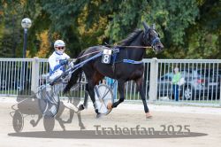 Dateiname=20251012_r04_015_R04_0068.jpg
Dateigröße=313KB
Abmessungen: 1000x667
hinzugefügt am: 14. Oktober 2025 20251012_r04_015_R04_0068.jpg