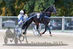 Dateiname=20251012_r04_016_R04_0072.jpg
Dateigröße=310KB
Abmessungen: 1000x667
hinzugefügt am: 14. Oktober 2025 20251012_r04_016_R04_0072.jpg