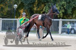 Dateiname=20251012_r04_017_R04_0077.jpg
Dateigröße=309KB
Abmessungen: 1000x667
hinzugefügt am: 14. Oktober 2025 20251012_r04_017_R04_0077.jpg