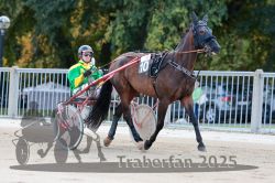 Dateiname=20251012_r04_018_R04_0081.jpg
Dateigröße=313KB
Abmessungen: 1000x667
hinzugefügt am: 14. Oktober 2025 20251012_r04_018_R04_0081.jpg