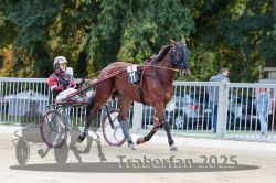 Dateiname=20251012_r04_019_R04_0083.jpg
Dateigröße=332KB
Abmessungen: 1000x667
hinzugefügt am: 14. Oktober 2025 20251012_r04_019_R04_0083.jpg