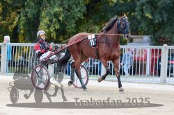 Dateiname=20251012_r04_020_R04_0088.jpg
Dateigröße=324KB
Abmessungen: 1000x667
hinzugefügt am: 14. Oktober 2025 20251012_r04_020_R04_0088.jpg