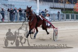 Dateiname=20251012_r04_025_R04_0110.jpg
Dateigröße=284KB
Abmessungen: 1000x667
hinzugefügt am: 14. Oktober 2025 20251012_r04_025_R04_0110.jpg