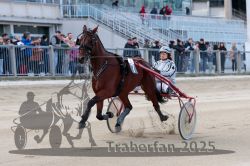 Dateiname=20251012_r04_028_R04_0117.jpg
Dateigröße=288KB
Abmessungen: 1000x667
hinzugefügt am: 14. Oktober 2025 20251012_r04_028_R04_0117.jpg