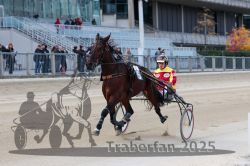 Dateiname=20251012_r04_035_R04_0134.jpg
Dateigröße=283KB
Abmessungen: 1000x667
hinzugefügt am: 14. Oktober 2025 20251012_r04_035_R04_0134.jpg