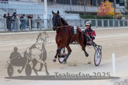 Dateiname=20251012_r04_051_R04_0175.jpg
Dateigröße=279KB
Abmessungen: 1000x667
hinzugefügt am: 14. Oktober 2025 20251012_r04_051_R04_0175.jpg