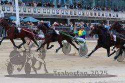 Dateiname=20251012_r04_080_R04_0260.jpg
Dateigröße=318KB
Abmessungen: 1000x667
hinzugefügt am: 14. Oktober 2025 20251012_r04_080_R04_0260.jpg