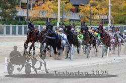 Dateiname=20251012_r04_092_R04_0297.jpg
Dateigröße=316KB
Abmessungen: 1000x667
hinzugefügt am: 14. Oktober 2025 20251012_r04_092_R04_0297.jpg