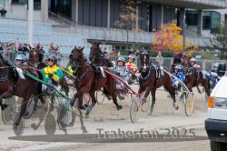 Dateiname=20251012_r04_102_R04_0330.jpg
Dateigröße=323KB
Abmessungen: 1000x667
hinzugefügt am: 14. Oktober 2025 20251012_r04_102_R04_0330.jpg