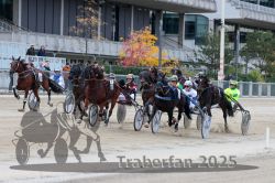 Dateiname=20251012_r04_120_R04_0384.jpg
Dateigröße=338KB
Abmessungen: 1000x667
hinzugefügt am: 14. Oktober 2025 20251012_r04_120_R04_0384.jpg