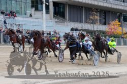 Dateiname=20251012_r04_121_R04_0386.jpg
Dateigröße=333KB
Abmessungen: 1000x667
hinzugefügt am: 14. Oktober 2025 20251012_r04_121_R04_0386.jpg