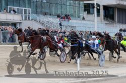 Dateiname=20251012_r04_123_R04_0393.jpg
Dateigröße=329KB
Abmessungen: 1000x667
hinzugefügt am: 14. Oktober 2025 20251012_r04_123_R04_0393.jpg