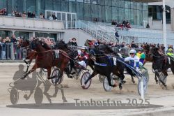 Dateiname=20251012_r04_124_R04_0396.jpg
Dateigröße=318KB
Abmessungen: 1000x667
hinzugefügt am: 14. Oktober 2025 20251012_r04_124_R04_0396.jpg