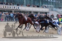 Dateiname=20251012_r04_125_R04_0400.jpg
Dateigröße=299KB
Abmessungen: 1000x667
hinzugefügt am: 14. Oktober 2025 20251012_r04_125_R04_0400.jpg