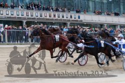 Dateiname=20251012_r04_126_R04_0403.jpg
Dateigröße=325KB
Abmessungen: 1000x667
hinzugefügt am: 14. Oktober 2025 20251012_r04_126_R04_0403.jpg