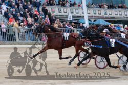 Dateiname=20251012_r04_128_R04_0410.jpg
Dateigröße=306KB
Abmessungen: 1000x667
hinzugefügt am: 14. Oktober 2025 20251012_r04_128_R04_0410.jpg