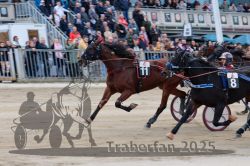 Dateiname=20251012_r04_129_R04_0411.jpg
Dateigröße=303KB
Abmessungen: 1000x667
hinzugefügt am: 14. Oktober 2025 20251012_r04_129_R04_0411.jpg