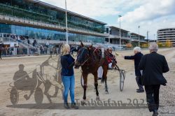 Dateiname=20251012_r04_133_CR5_0121.jpg
Dateigröße=342KB
Abmessungen: 1000x667
hinzugefügt am: 14. Oktober 2025 20251012_r04_133_CR5_0121.jpg