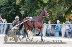 Dateiname=20251012_r05_001_R05_0001.jpg
Dateigröße=329KB
Abmessungen: 1000x667
hinzugefügt am: 14. Oktober 2025 20251012_r05_001_R05_0001.jpg