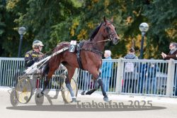 Dateiname=20251012_r05_002_R05_0004.jpg
Dateigröße=317KB
Abmessungen: 1000x667
hinzugefügt am: 14. Oktober 2025 20251012_r05_002_R05_0004.jpg