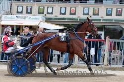 Dateiname=20251012_r05_005_R05_0019.jpg
Dateigröße=332KB
Abmessungen: 1000x667
hinzugefügt am: 14. Oktober 2025 20251012_r05_005_R05_0019.jpg