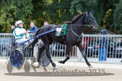 Dateiname=20251012_r05_009_R05_0037.jpg
Dateigröße=312KB
Abmessungen: 1000x667
hinzugefügt am: 14. Oktober 2025 20251012_r05_009_R05_0037.jpg