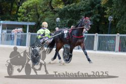 Dateiname=20251012_r05_011_R05_0046.jpg
Dateigröße=285KB
Abmessungen: 1000x667
hinzugefügt am: 14. Oktober 2025 20251012_r05_011_R05_0046.jpg