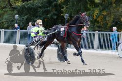 Dateiname=20251012_r05_012_R05_0051.jpg
Dateigröße=296KB
Abmessungen: 1000x667
hinzugefügt am: 14. Oktober 2025 20251012_r05_012_R05_0051.jpg