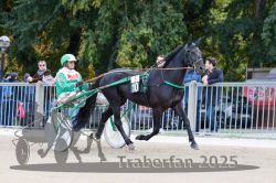 Dateiname=20251012_r05_018_R05_0080.jpg
Dateigröße=331KB
Abmessungen: 1000x667
hinzugefügt am: 14. Oktober 2025 20251012_r05_018_R05_0080.jpg