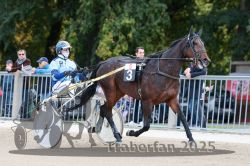 Dateiname=20251012_r05_019_R05_0088.jpg
Dateigröße=308KB
Abmessungen: 1000x667
hinzugefügt am: 14. Oktober 2025 20251012_r05_019_R05_0088.jpg